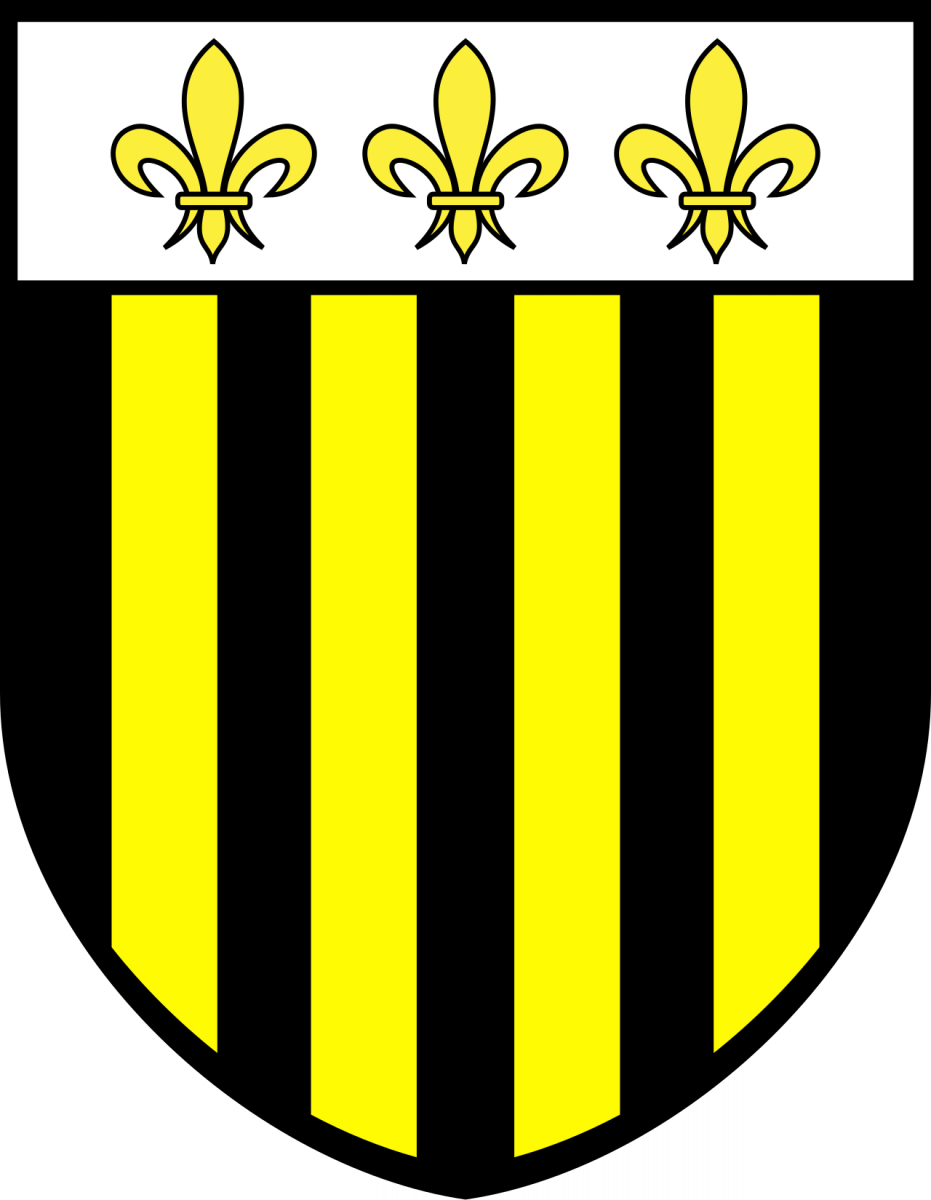 Remplacer par le logo souhaité