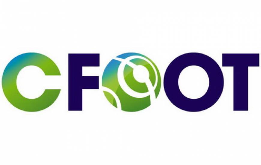 cfoot495.jpg