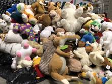 Près de 500 peluches seront remises à des enfants dans le besoin à l'approche des fêtes de Noël